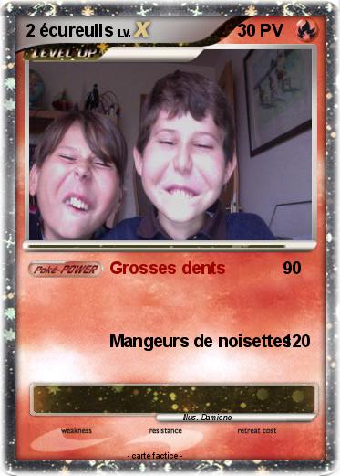 Pokemon 2 écureuils