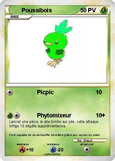 Pokemon Poussibois
