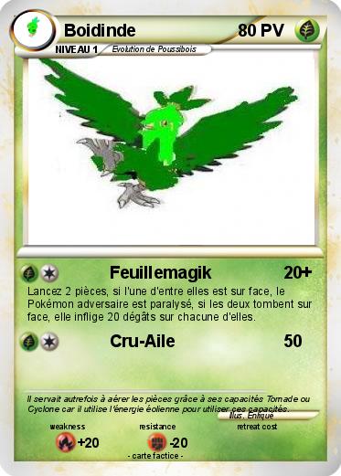 Pokemon Boidinde