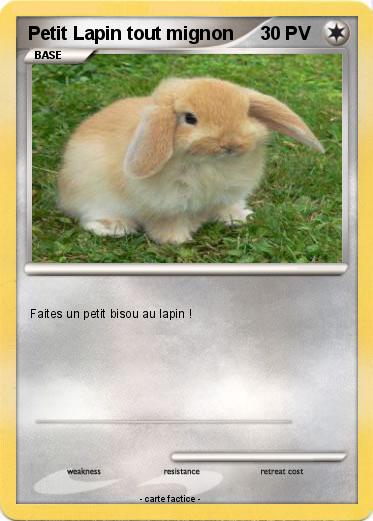 Pokemon Petit Lapin tout mignon