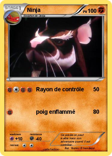 Pokemon Ninja