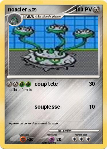 Pokemon noacier