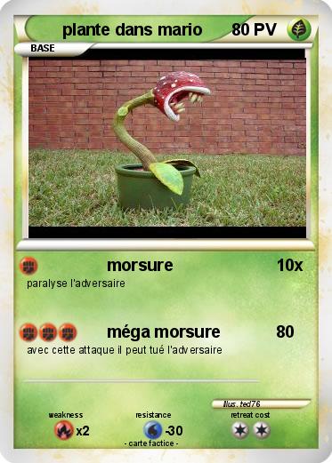 Pokemon plante dans mario
