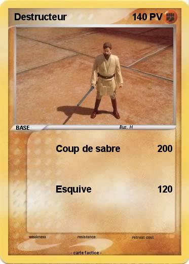 Pokemon Destructeur