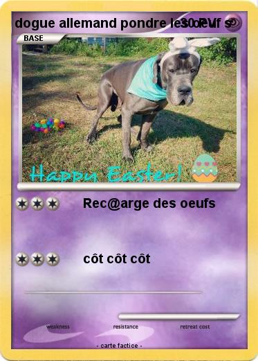 Pokemon dogue allemand pondre les oeuf s