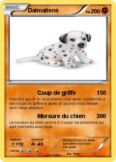 Pokemon Dalmatiens