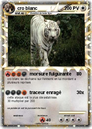 Pokemon cro blanc