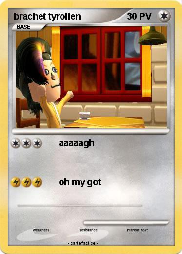 Pokemon brachet tyrolien