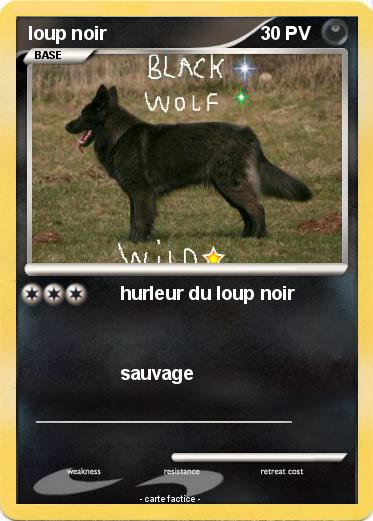 Pokemon loup noir
