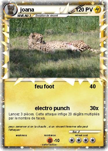 Pokemon joana