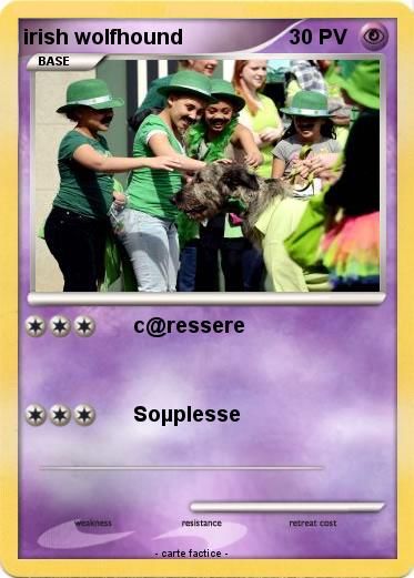 Pokemon irish wolfhound