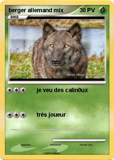 Pokemon berger allemand mix