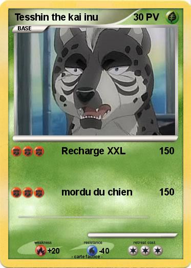 Pokemon Tesshin the kai inu