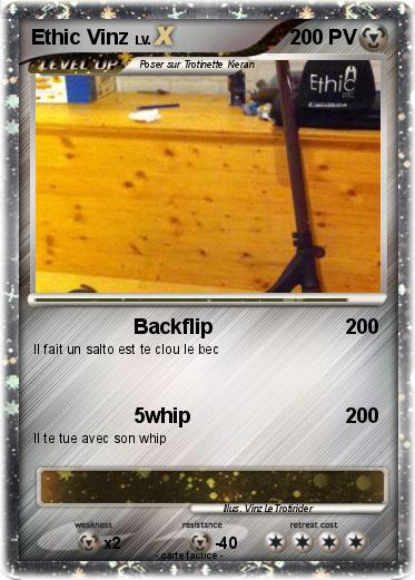 Pokemon Ethic Vinz