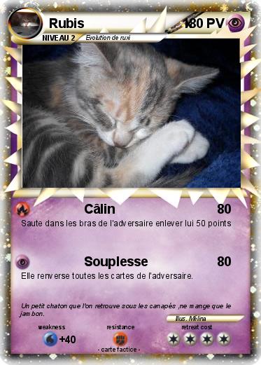 Pokemon Rubis                            x