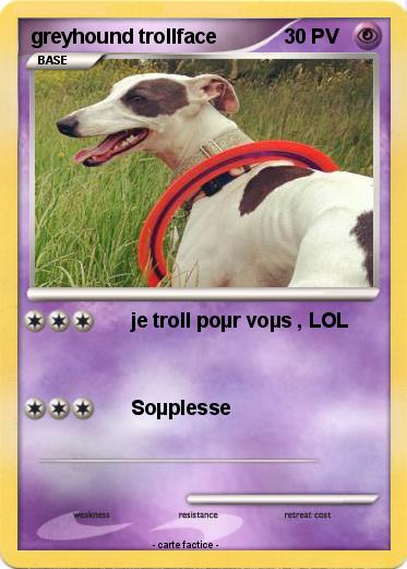Pokemon greyhound trollface