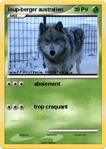Pokemon loup-berger australien