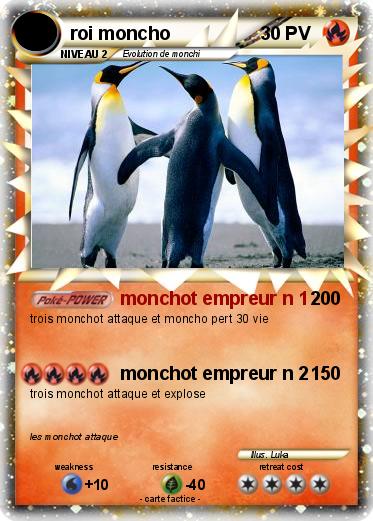 Pokemon roi moncho
