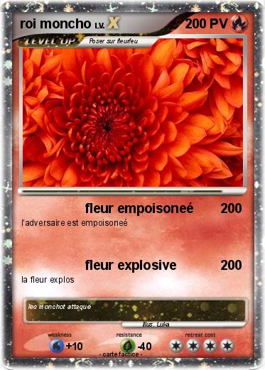 Pokemon roi moncho