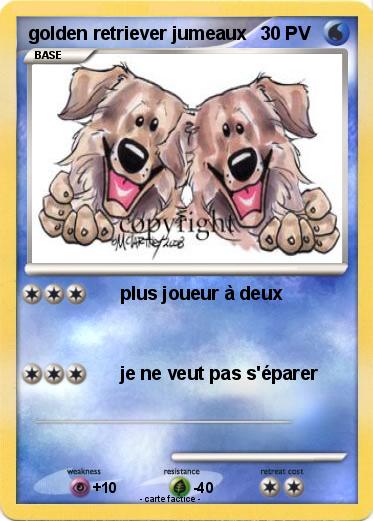 Pokemon golden retriever jumeaux