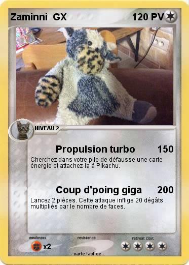 Pokemon Zaminni  GX