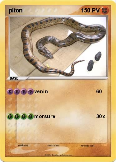 Pokemon piton 