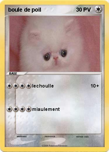 Pokemon boule de poil