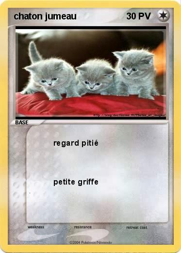 Pokemon chaton jumeau