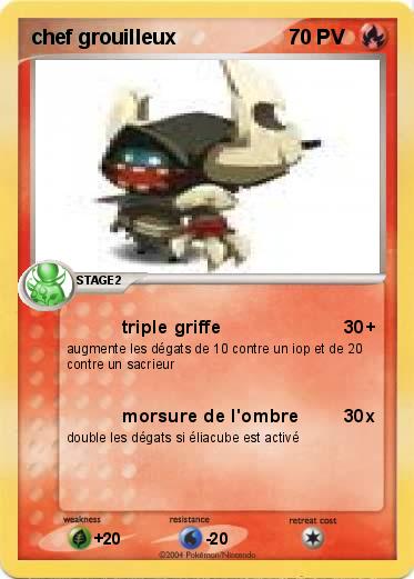 Pokemon chef grouilleux