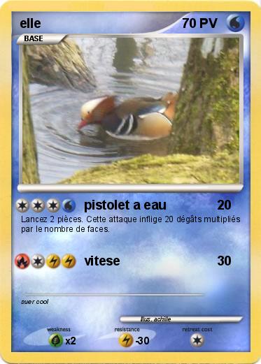 Pokemon elle