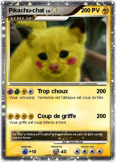 Pokemon Pikachu-chat