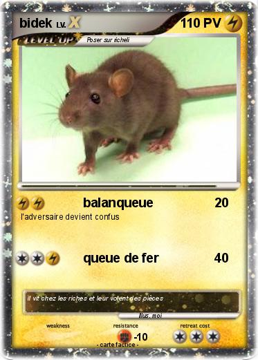 Pokemon bidek