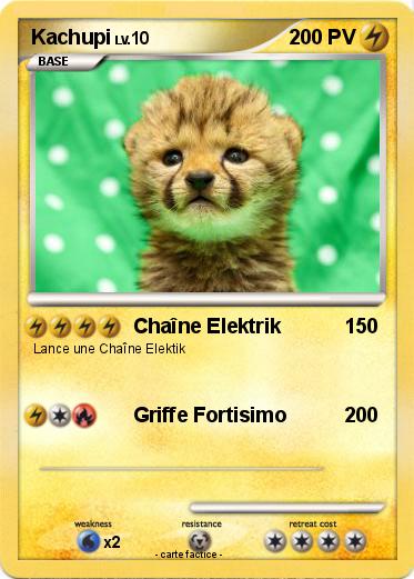 Pokemon Kachupi
