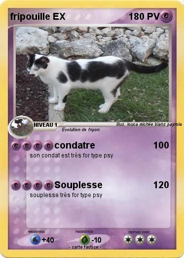Pokemon fripouille EX