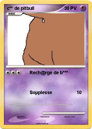 Pokemon c** de pitbull