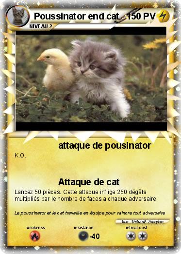Pokemon Poussinator end cat
