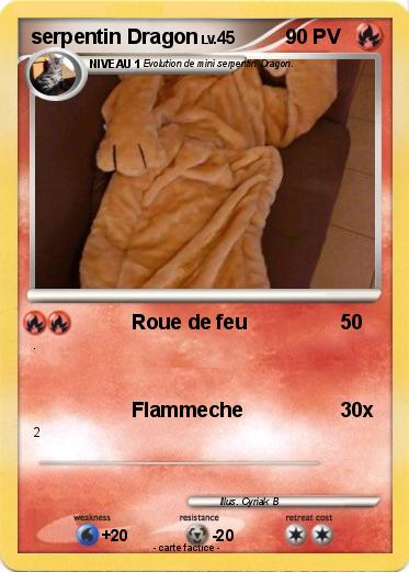 Pokemon serpentin Dragon