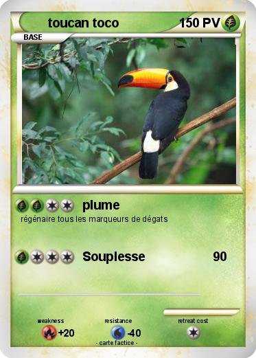 Pokemon toucan toco