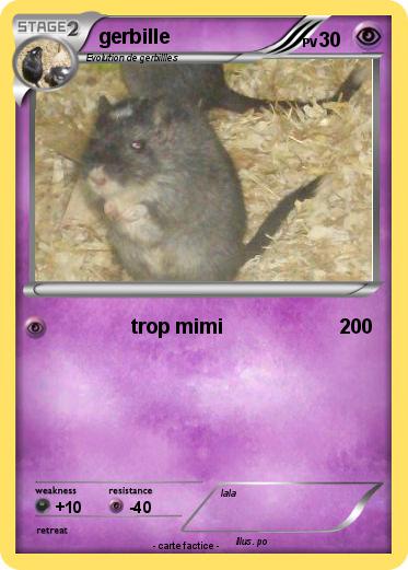 Pokemon gerbille