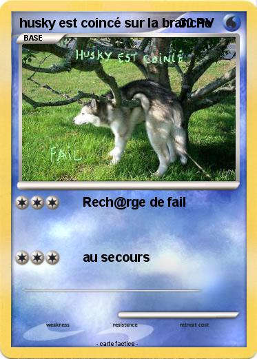 Pokemon husky est coincé sur la branche