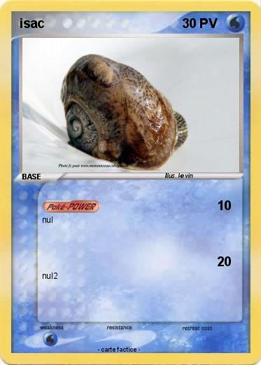 Pokemon isac