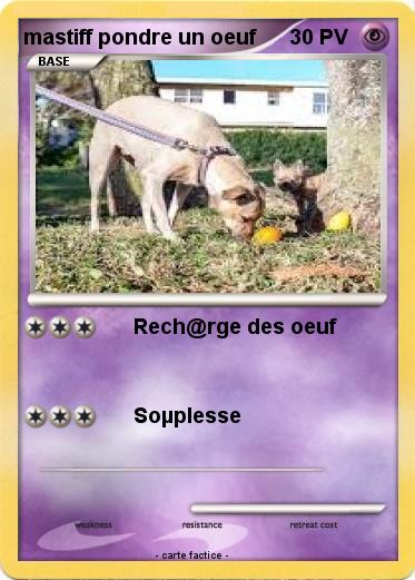 Pokemon mastiff pondre un oeuf