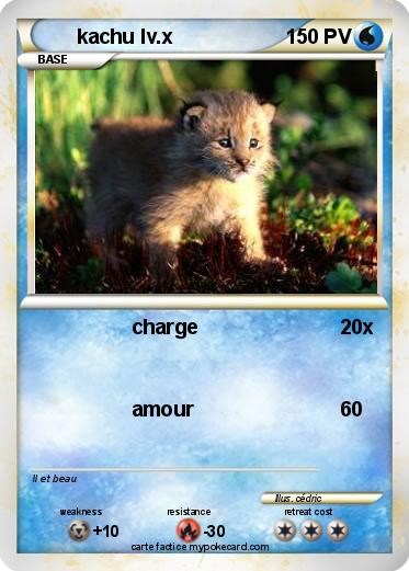 Pokemon kachu lv.x