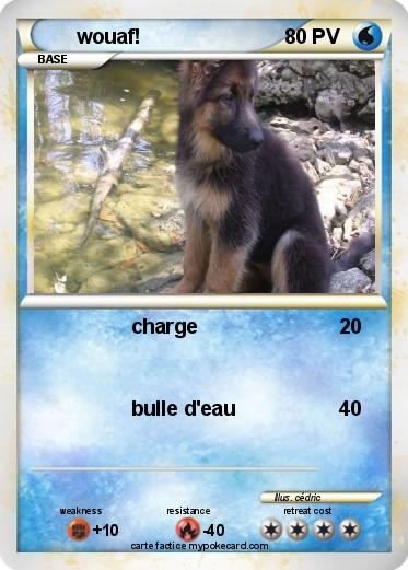 Pokemon wouaf!