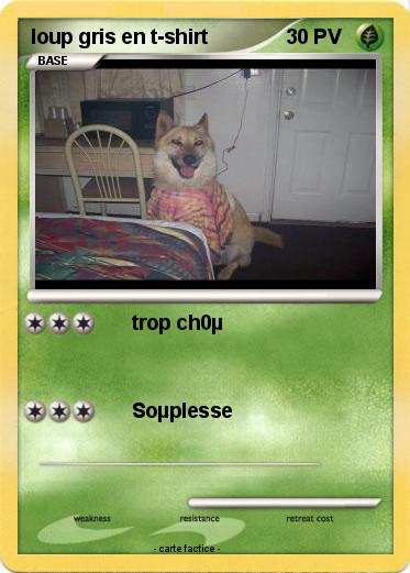 Pokemon loup gris en t-shirt