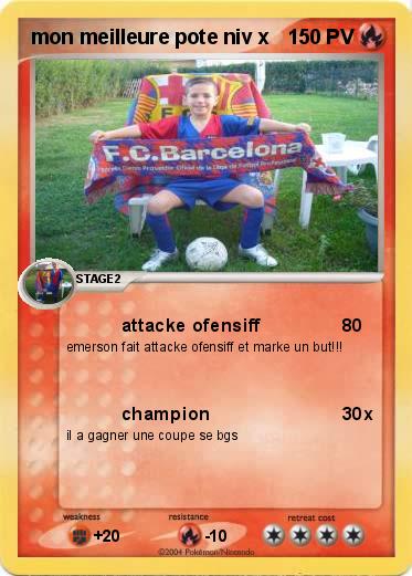 Pokemon mon meilleure pote niv x