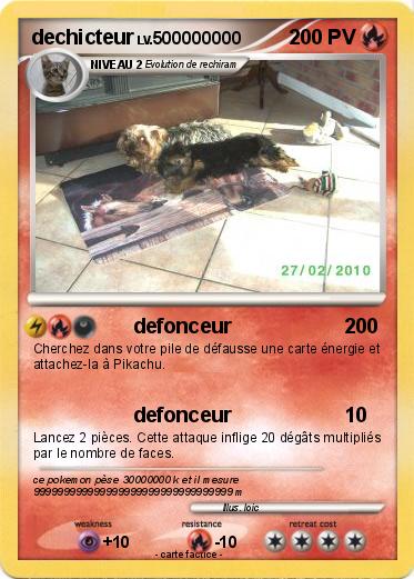 Pokemon dechicteur