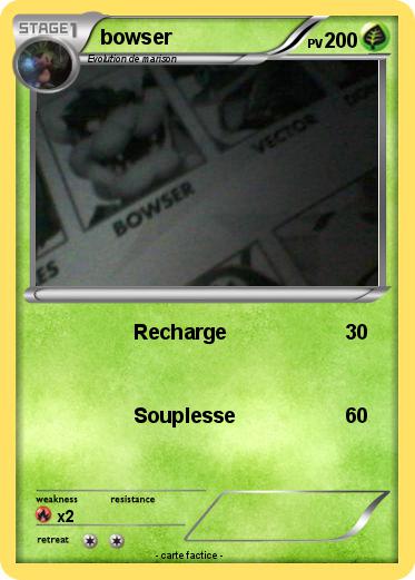 Pokemon bowser