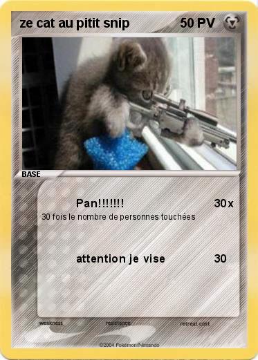 Pokemon ze cat au pitit snip