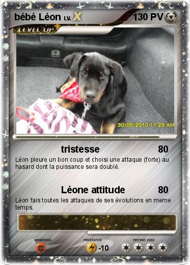 Pokemon bébé Léon